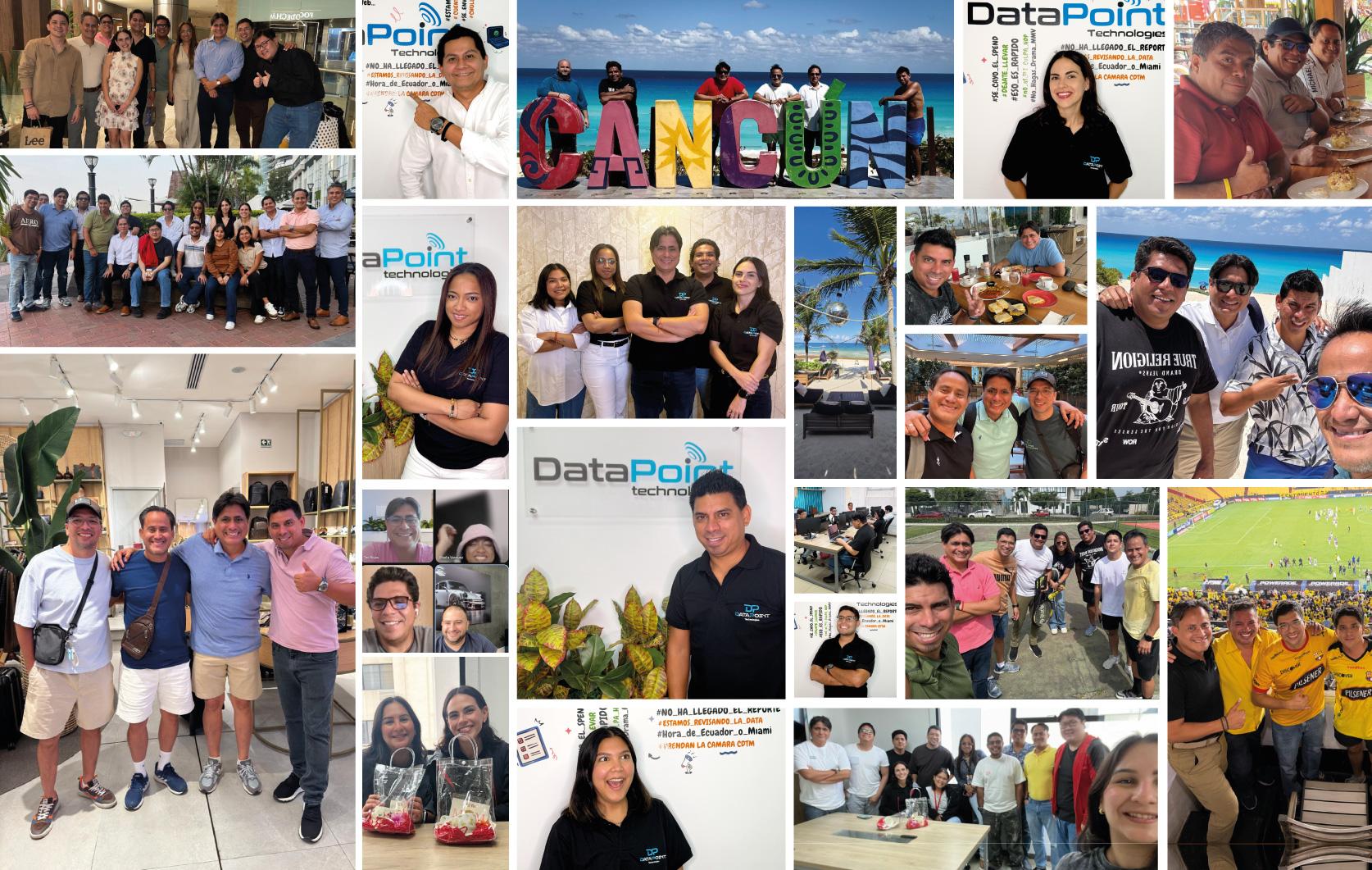 DataPoint team collage